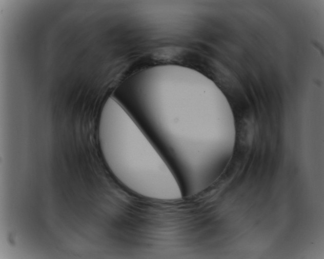 X0000097780420200803070917