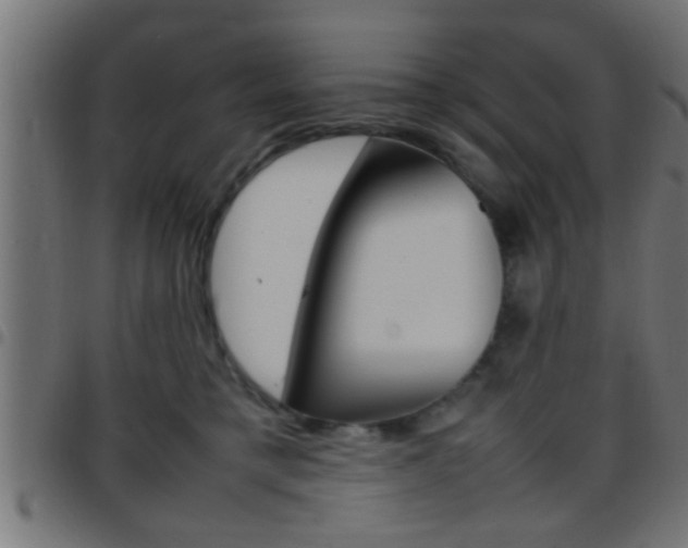 X0000097780421200803070917