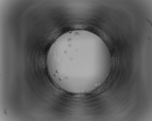 X0000097780422200803070917