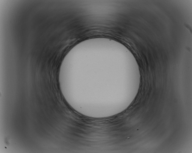 X0000097780423200803070917