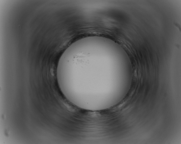 X0000097780424200803070917