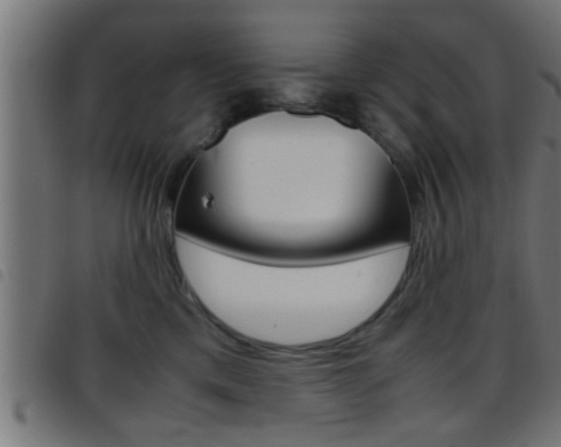 X0000097780425200803070917