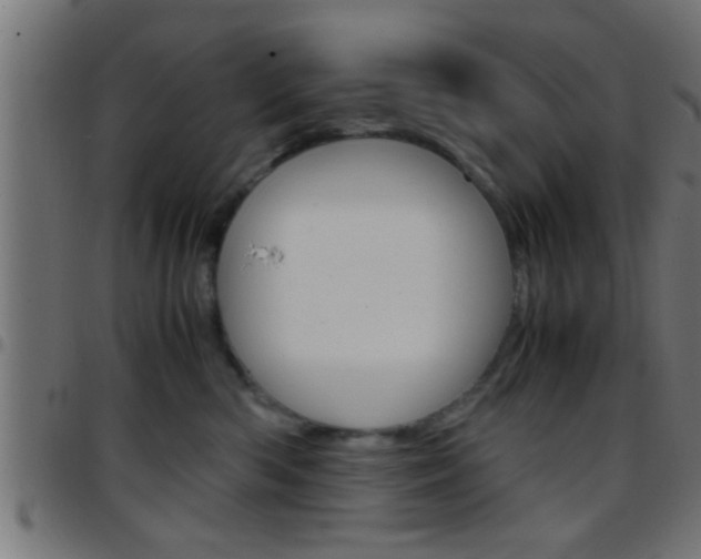 X0000097780426200803070917