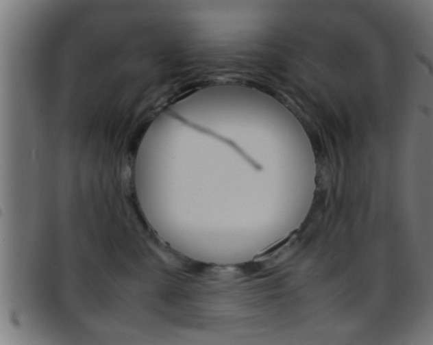 X0000097780427200803070917