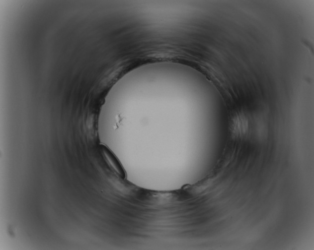 X0000097780428200803070917