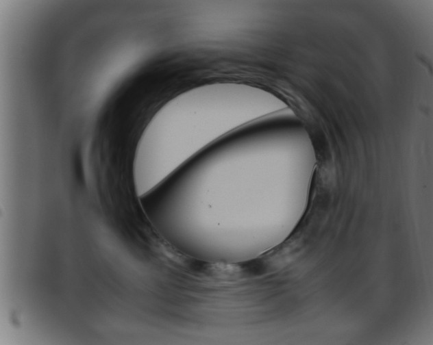 X0000097780429200803070917