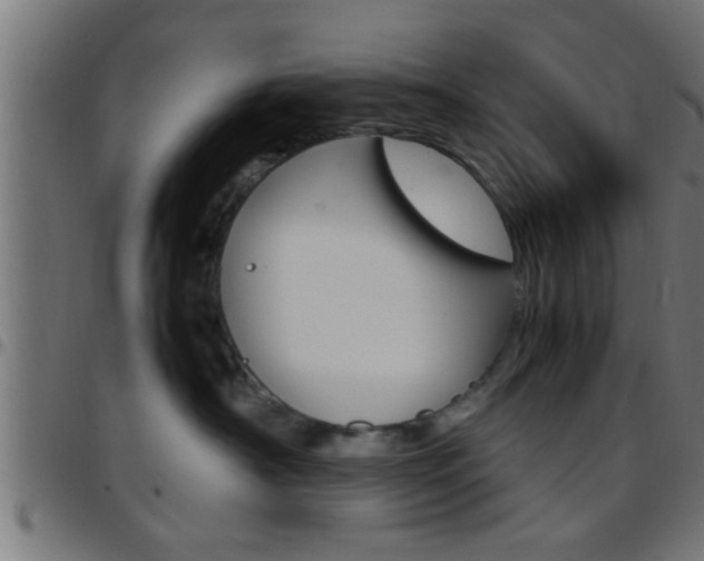 X0000097780430200803070917