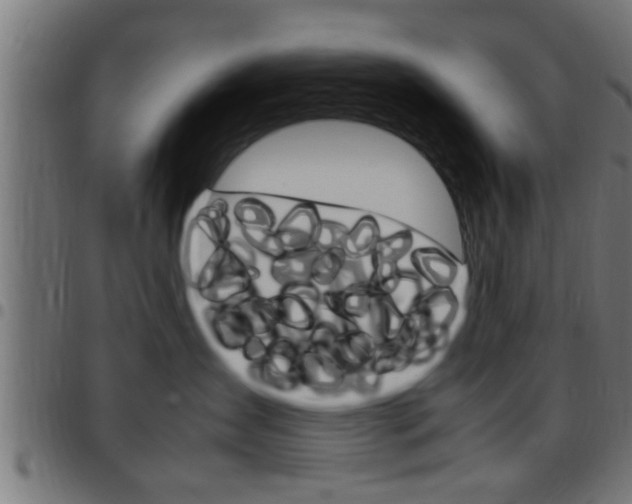 X0000097780431200803070917