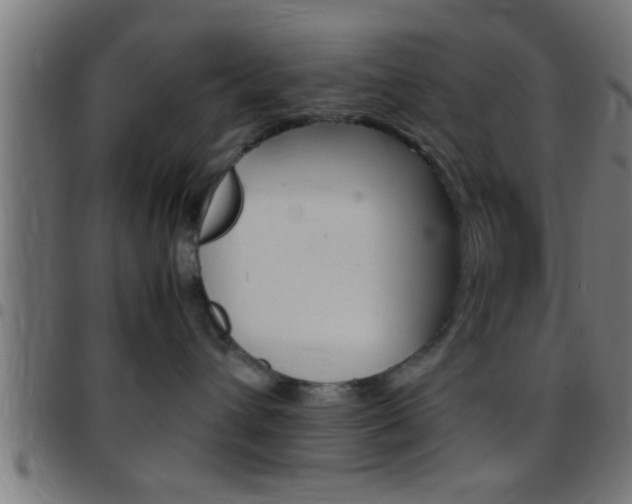 X0000097780432200803070917