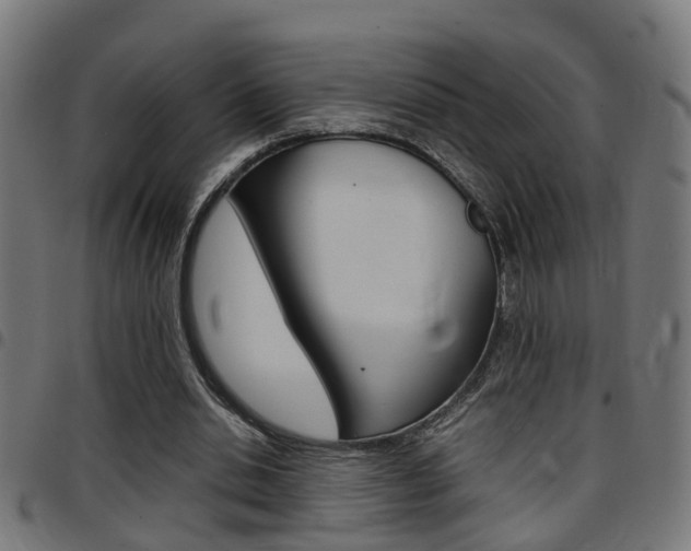 X0000097780438200803070916