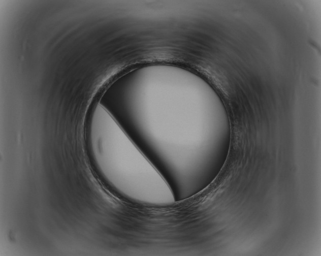 X0000097780439200803070916