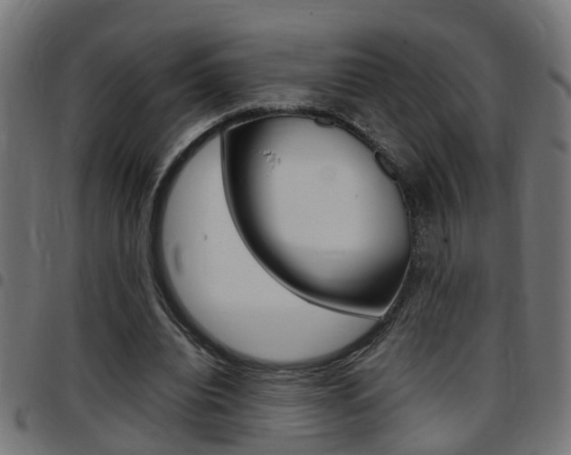 X0000097780440200803070916