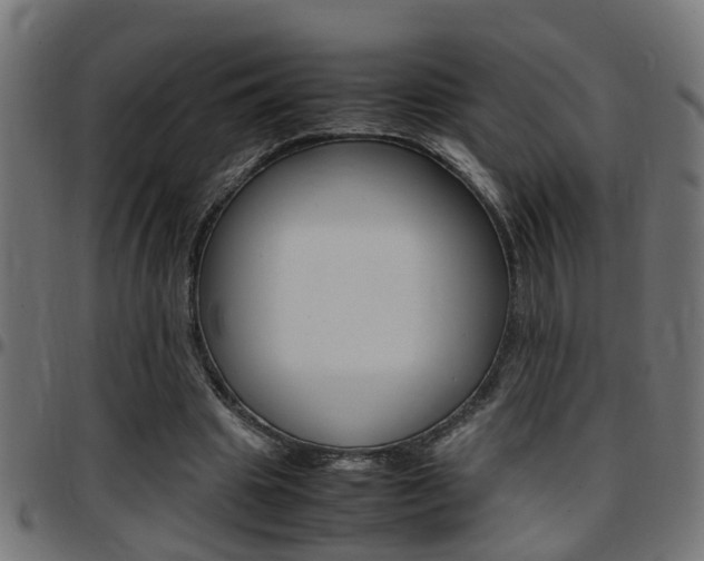 X0000097780441200803070916