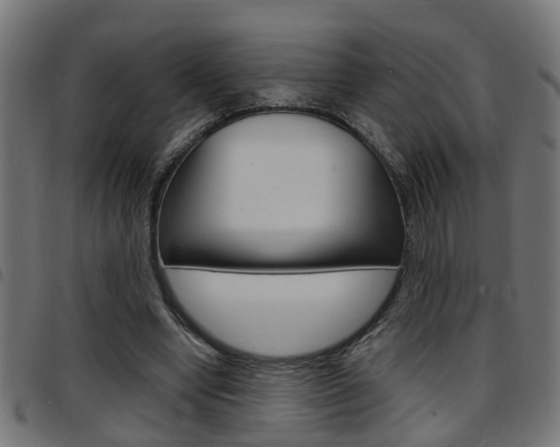 X0000097780442200803070916