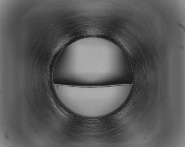 X0000097780443200803070916