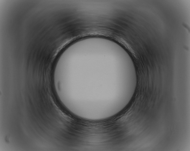 X0000097780444200803070916