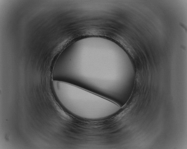 X0000097780445200803070916
