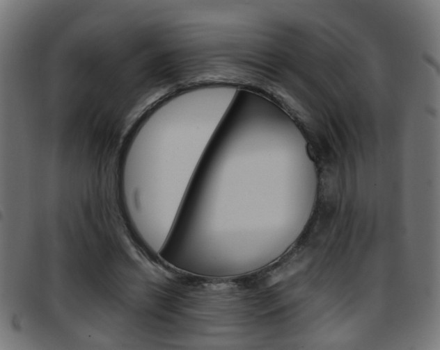 X0000097780446200803070916