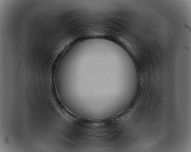 X0000097780447200803070917