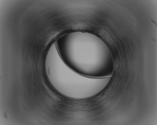 X0000097780448200803070917