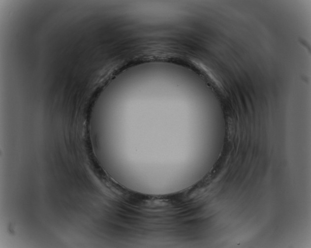 X0000097780451200803070917