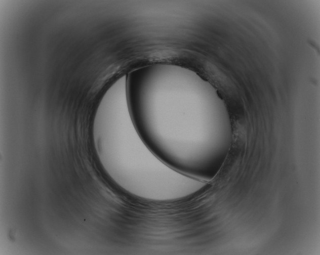 X0000097780452200803070917