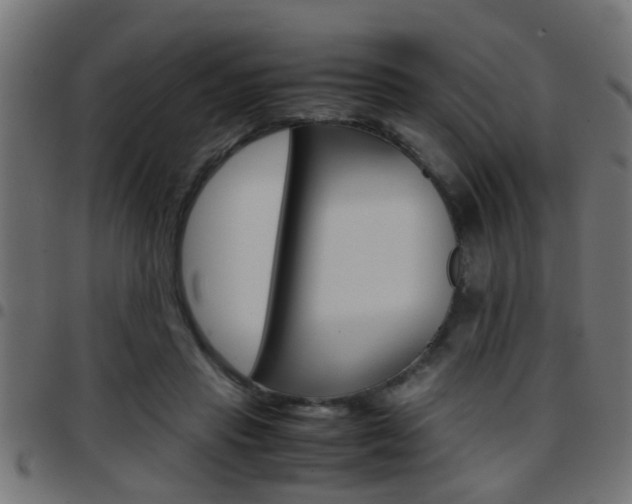 X0000097780453200803070917