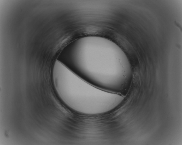 X0000097780454200803070917