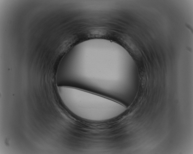 X0000097780455200803070917