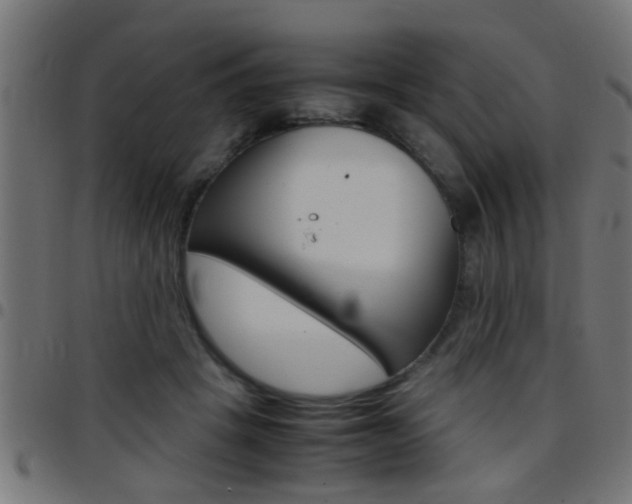 X0000097780457200803070917
