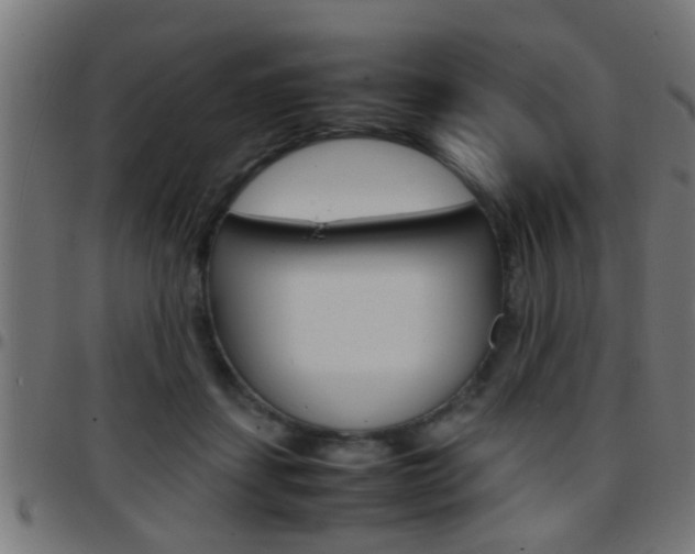 X0000097780459200803070917