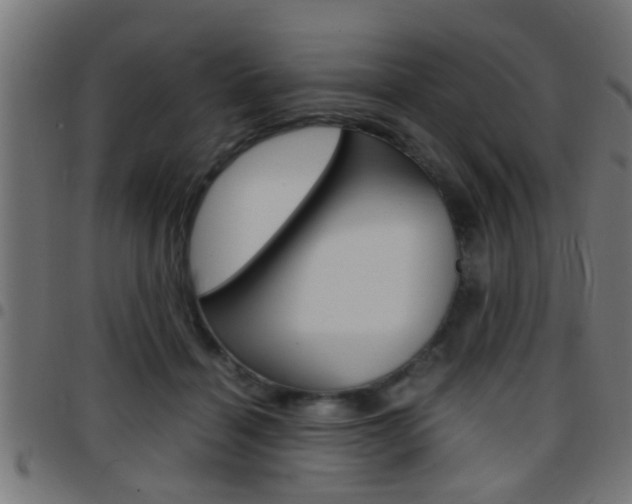 X0000097780460200803070917