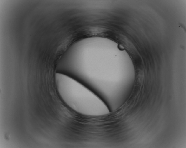 X0000097780461200803070917
