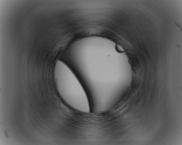 X0000097780462200803070917