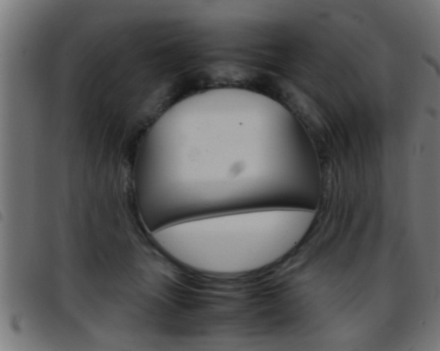 X0000097780463200803070917