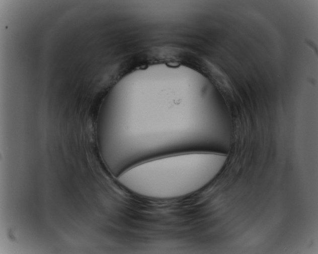 X0000097780465200803070917