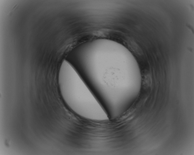 X0000097780466200803070917