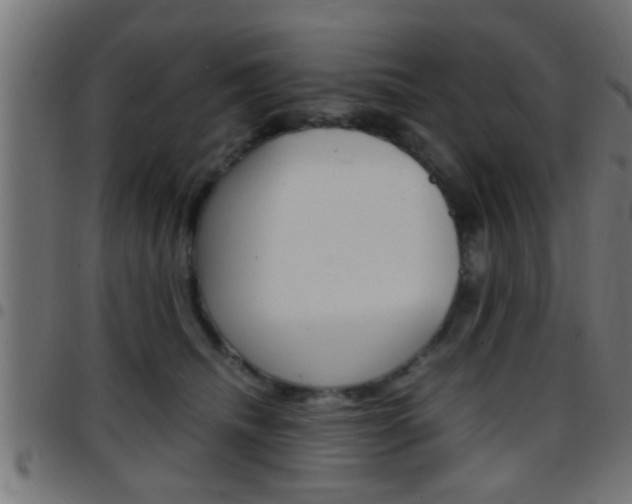 X0000097780468200803070917
