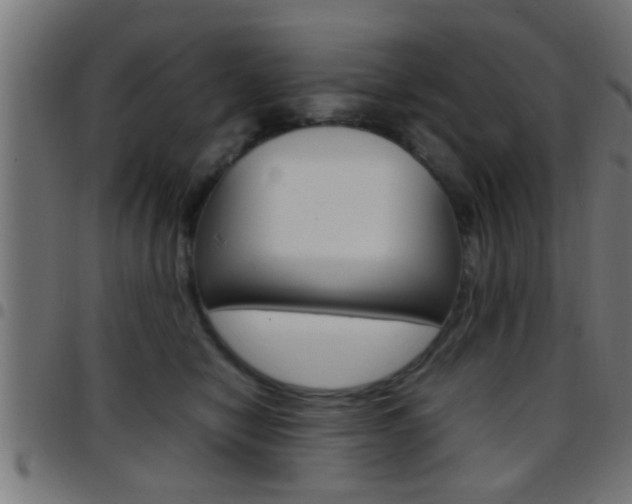 X0000097780470200803070917