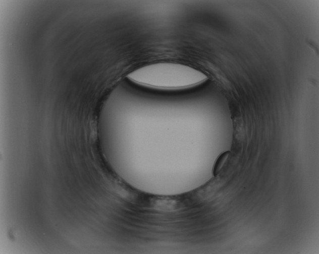 X0000097780471200803070917