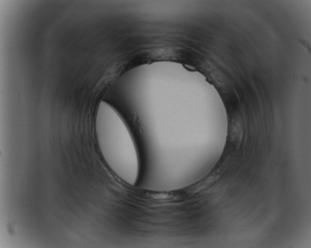 X0000097780473200803070917