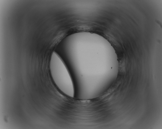 X0000097780474200803070917