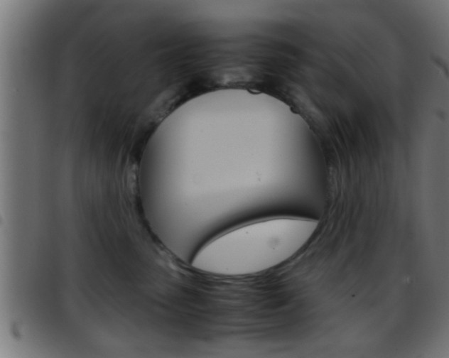 X0000097780475200803070917