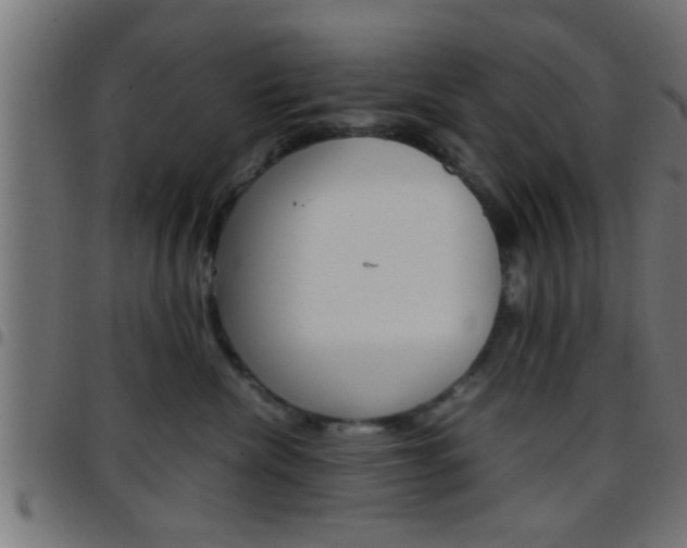 X0000097780476200803070917