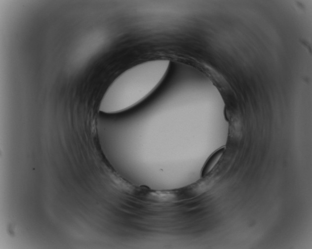 X0000097780477200803070917