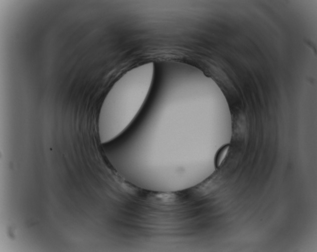 X0000097780478200803070917