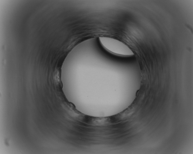 X0000097780479200803070917