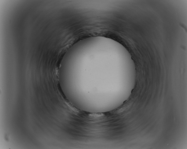 X0000097780480200803070917