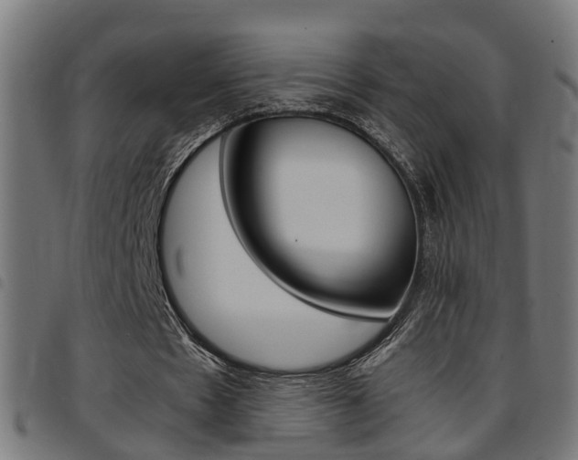 X0000097780481200803070916
