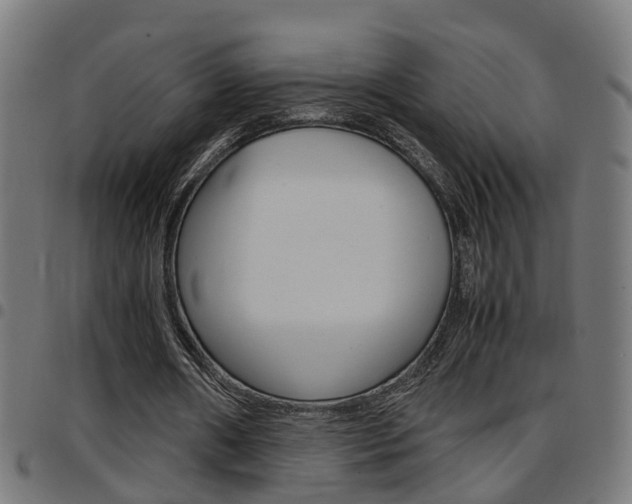 X0000097780482200803070916